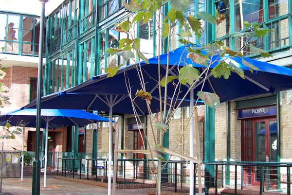 Pacific Umbrellas