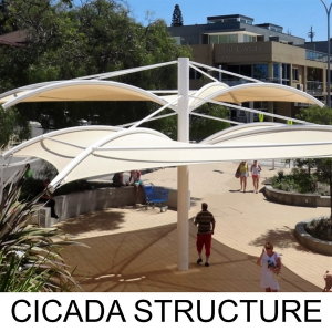 CICADA STRUCTURE